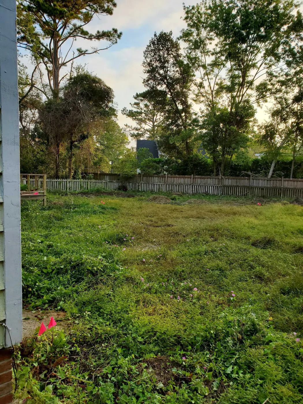 Tracked skid steer running a rotary cutter through an overgrown field in Burgaw, NC