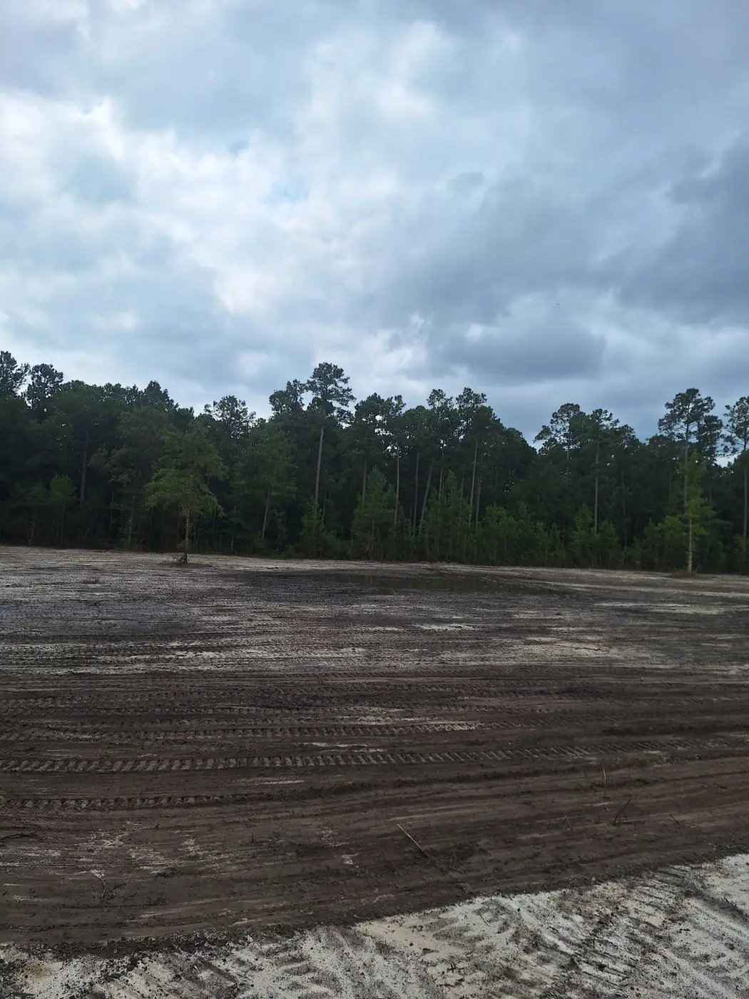 Land clearing and dirt work in Southport, NC